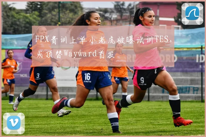 FPX青训上单小老虎被曝试训TES，或顶替Wayward首发